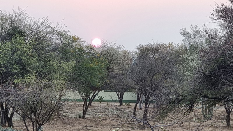 Click Image to goto Weblink