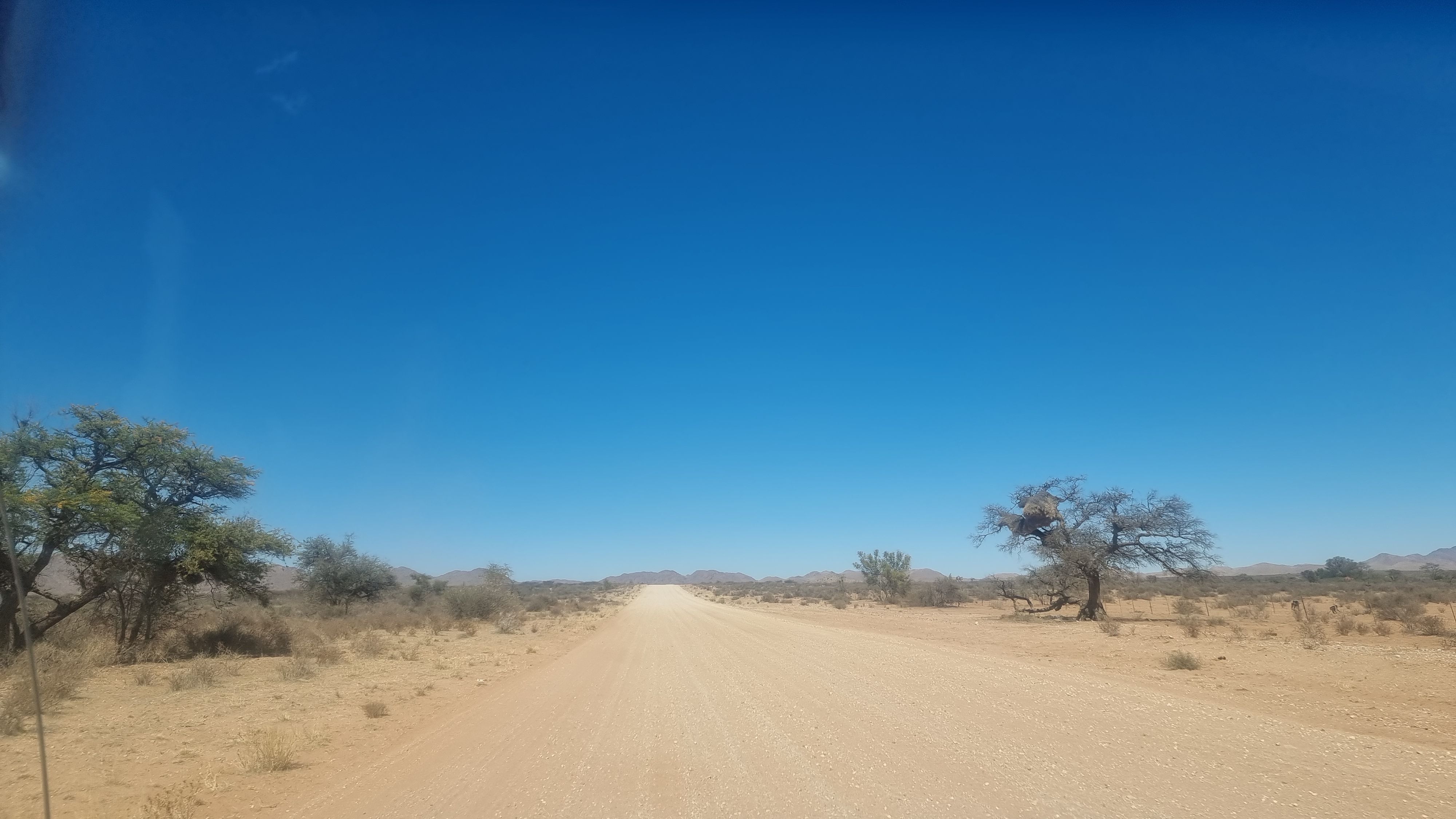 Click Image for next Picture