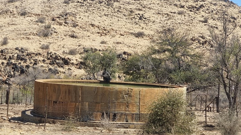 Click Image to goto Weblink