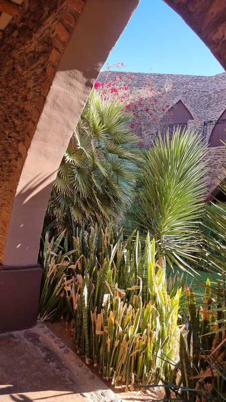 Click Image to goto Weblink