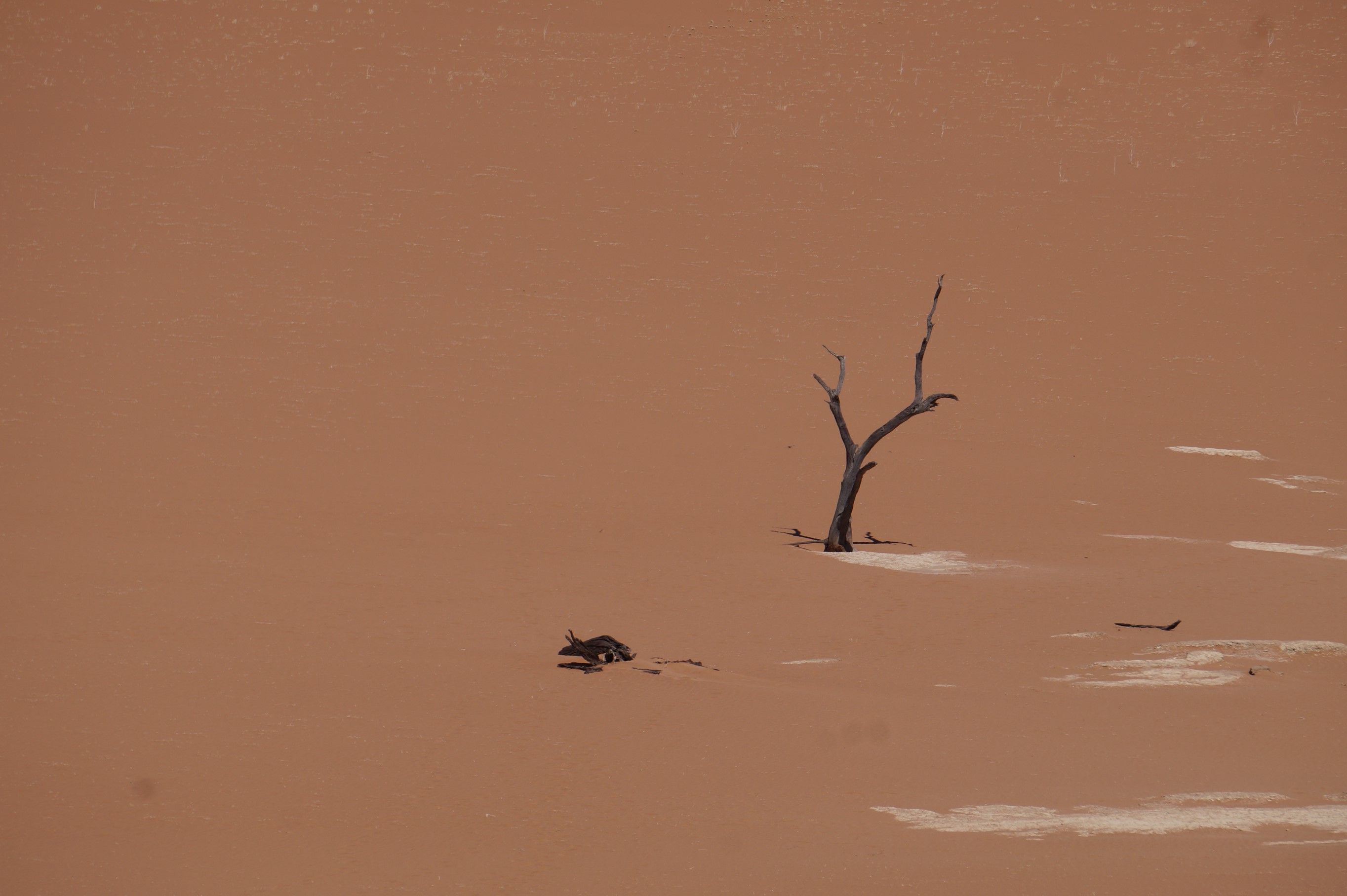 Click Image for next Picture