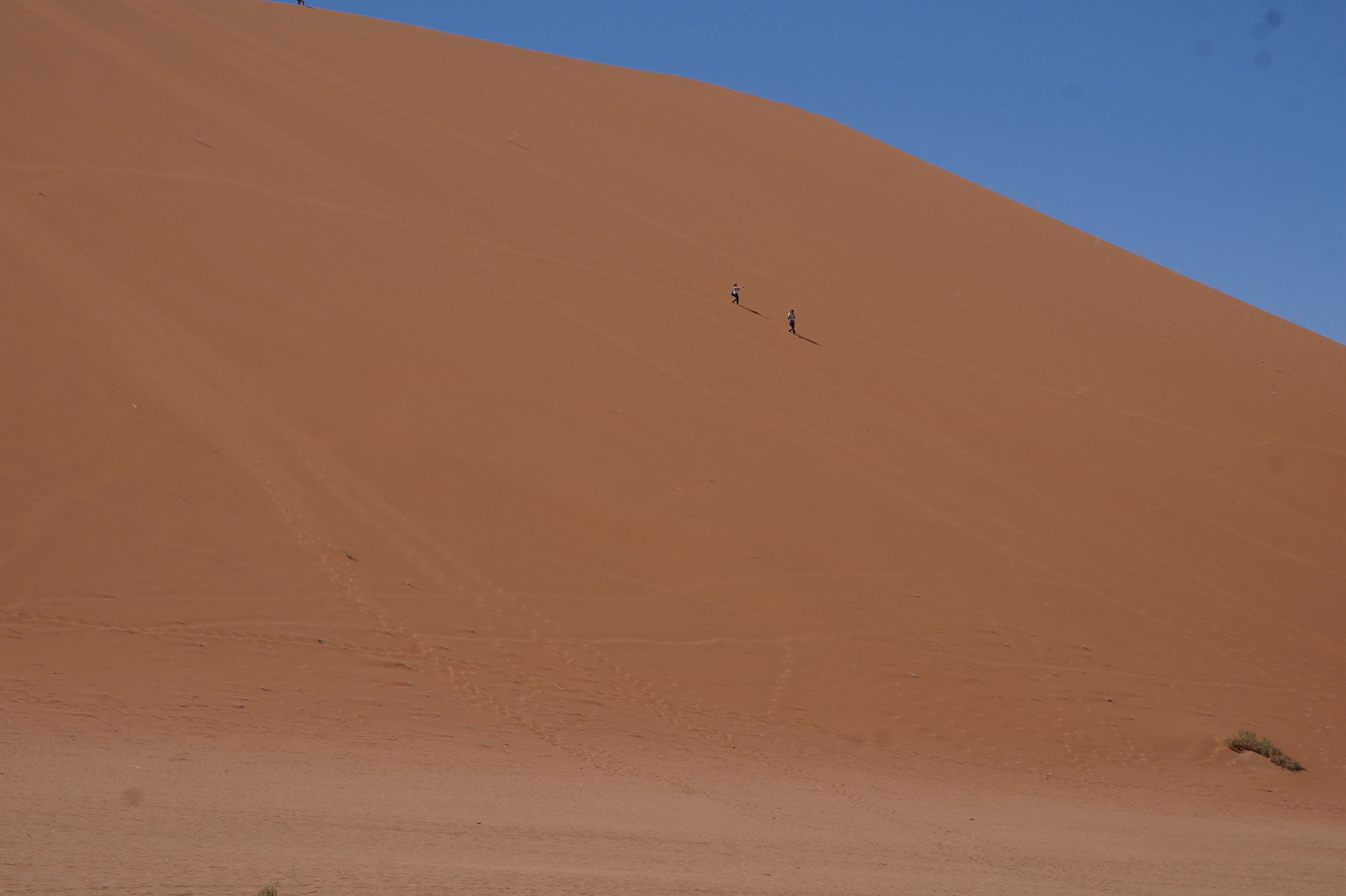 Click Image for next Picture