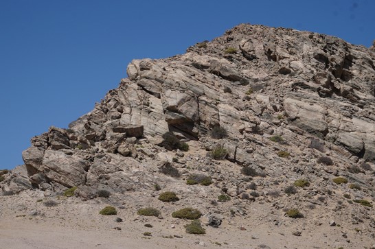 Click Image to goto Weblink
