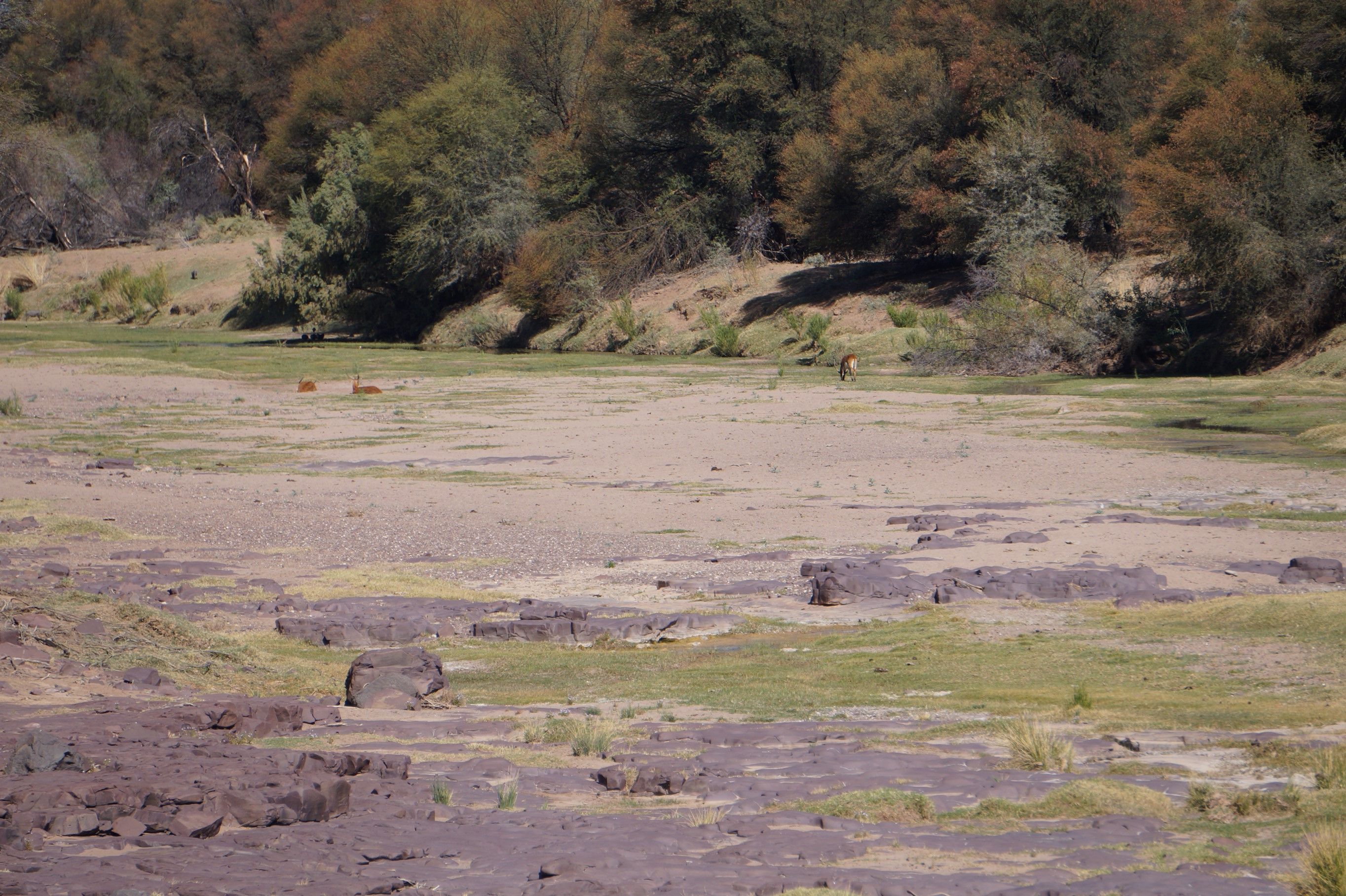 Click Image for next Picture